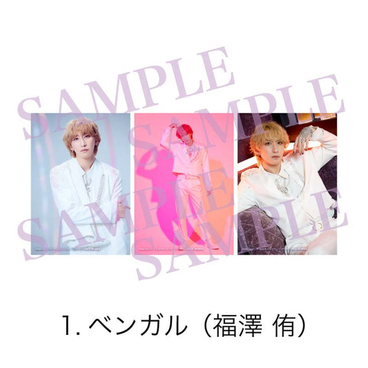 Stray Cityシリーズ「Clubキャッテリア」〜ドッグマフィアの襲来〜 ソロブロマイド