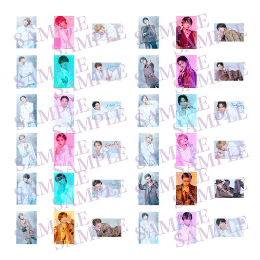 Stray Cityシリーズ「Clubキャッテリア」〜ドッグマフィアの襲来〜 ランダムハーフブロマイド